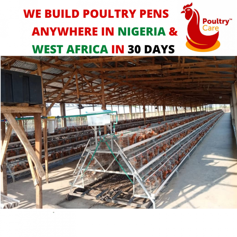 Poultry Pen Construction Poultrycare