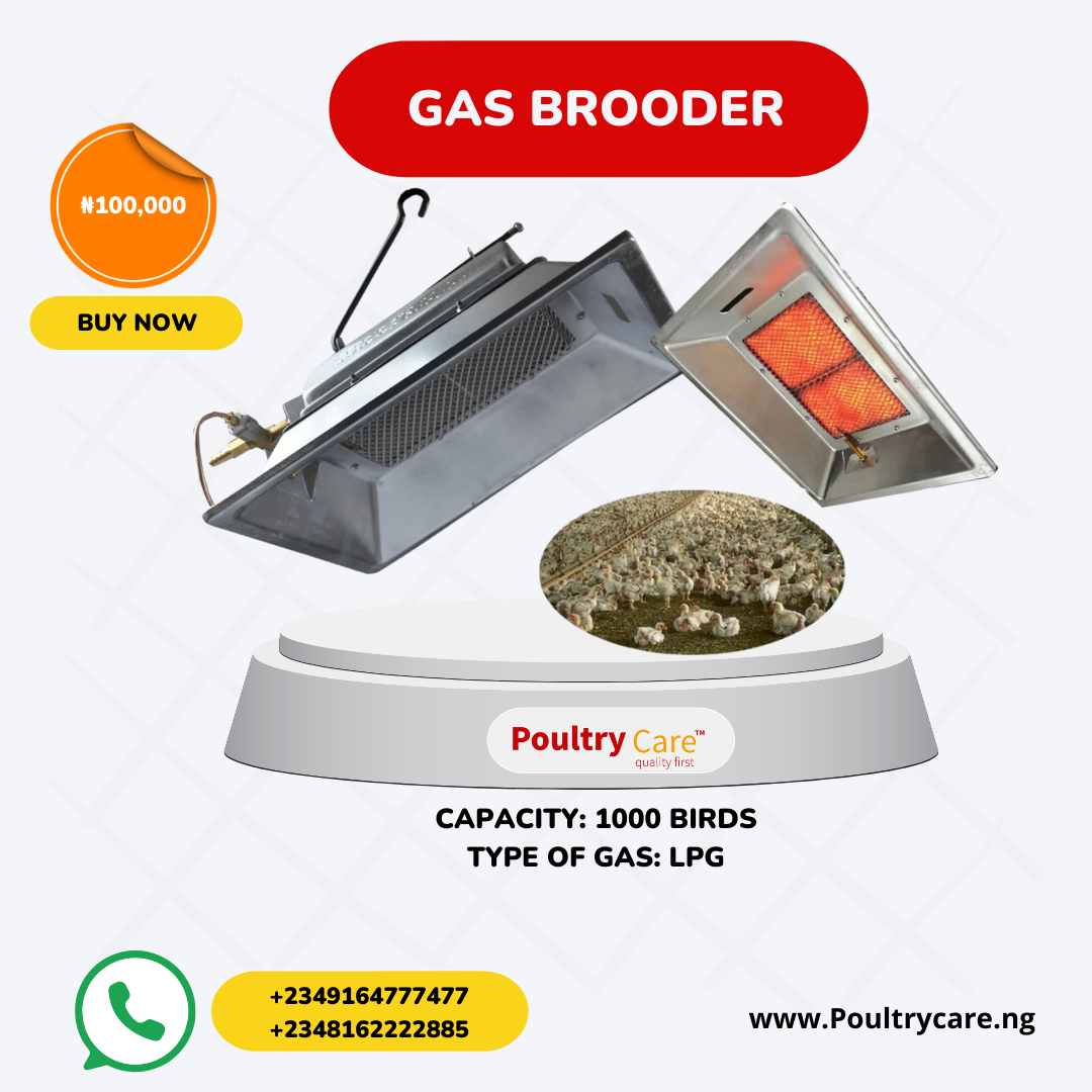 Yellow Realistic Product Promotion Instagram Post